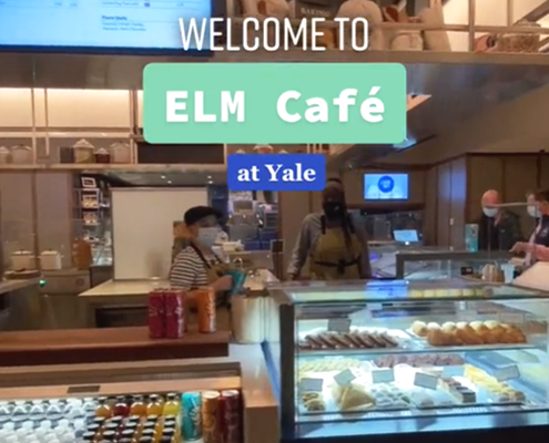 Yale Hospitality, Elm on TikTok