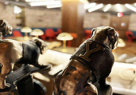Yale bulldog mascot-spired taps provide regional beers and global wines